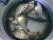 16062011584.jpg