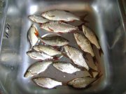 2011_06_19.jpg