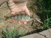2011-06-17 14.57.37.jpg