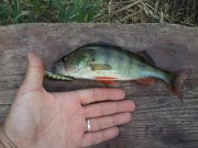 2011-06-17 15.04.43.jpg
