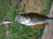 2011-06-17 15.27.14.jpg
