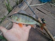 2011-06-17 15.04.15.jpg