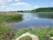 100_9391.jpg