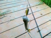 21062011083.jpg