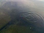 190620111453.jpg