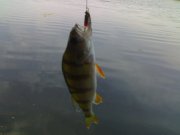190620111455.jpg