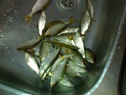 190620111456.jpg