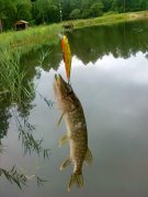 29062011090.jpg
