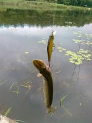 29062011091.jpg