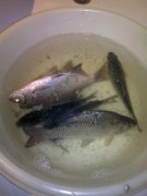 30062011591.jpg