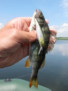 IMG_1979.JPG