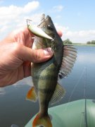 IMG_1978.JPG