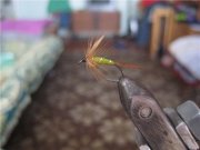 69f8275800f0.jpg