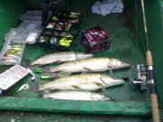 030720111467.jpg