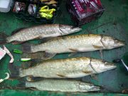 030720111469.jpg