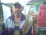 SP_A0700.jpg