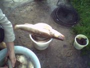 SP_A0710.jpg