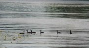 DSC06569.jpg