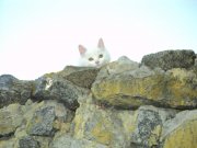 DSC05178.jpg