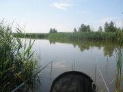 P7100015.jpg