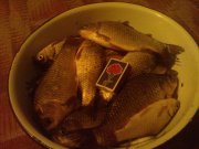 DSC00060.jpg