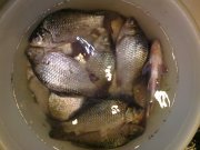 13072011610.jpg