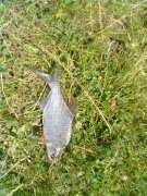 10072011065.jpg
