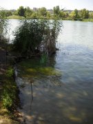 Dnepr_13072011 001.jpg