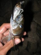 IMG_3628.jpg