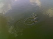 170720111483.jpg