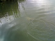 170720111484.jpg