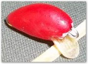 sshot-80.jpg
