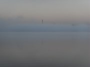 SDC15296.jpg