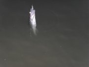 SDC15317.jpg