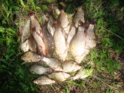 DSC05317.JPG