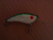 290720111498.jpg