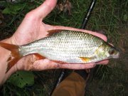 IMG_2468.JPG