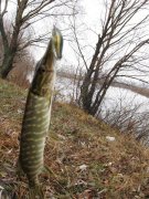 IMG_0771.jpg