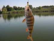 IMG_0010.jpg
