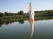 IMG_0012.jpg