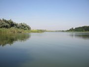 IMG_0014.jpg