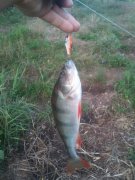 2011-08-02 19.54.40.jpg