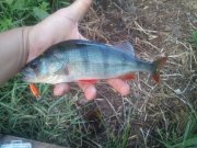 2011-08-02 19.54.58.jpg