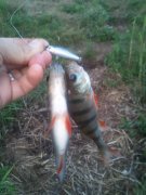 2011-08-02 20.08.37.jpg