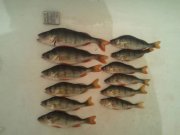 2011-08-02 20.59.04.jpg