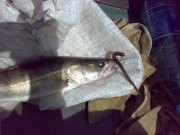 07082011119.jpg