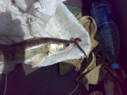 07082011120.jpg