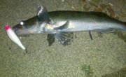 11082011079.jpg