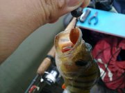 11082011606.jpg