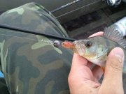 11082011607.jpg